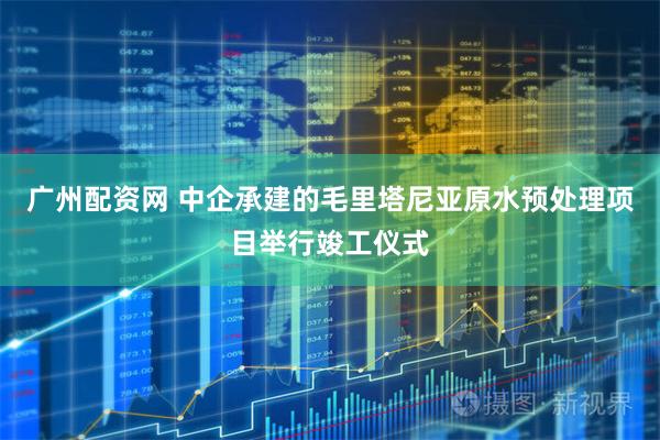 广州配资网 中企承建的毛里塔尼亚原水预处理项目举行竣工仪式