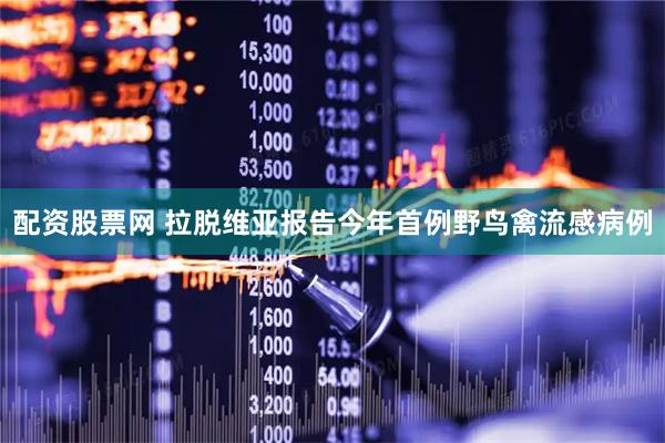 配资股票网 拉脱维亚报告今年首例野鸟禽流感病例