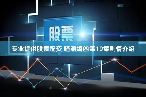 专业提供股票配资 暗潮缉凶第19集剧情介绍